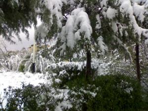 C'est la neige au printemps Neiges