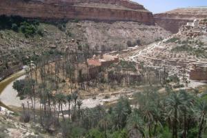 Beauté de l'algerie Oasis