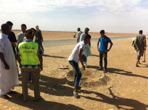 حملة تشجيرببلدية برج باجي مختار