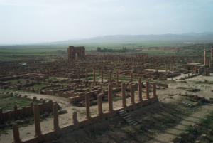 Timgad Vestiges / Ruines