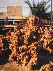 Roses des sables Formes étranges