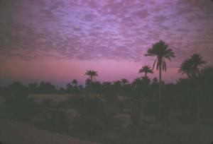 Soleil violet Crépuscules / Aurore