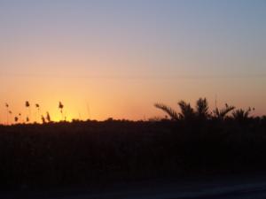 Coucher de soleil Palmiers