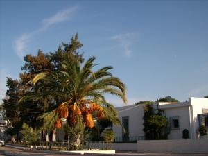 Hammam Meskoutine (Guelma) Villes