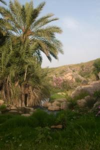 Hammam Debagh Paysages