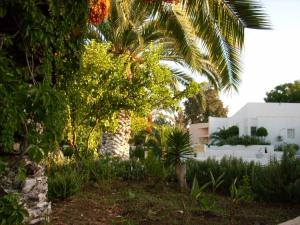 Guelma/Hamma Debagh Fleurs et plantes