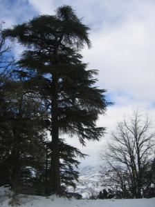 Nature Parcs naturels