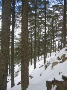 Nature Parcs naturels