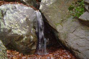 Une petite source de vie Paysages