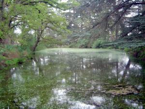 Un lac bien vivant Paysages