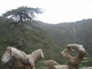 En dirait une main Parcs naturels