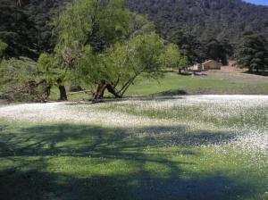 Le rond point Paysages