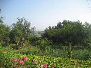 Mon jardin Maisons & jardins