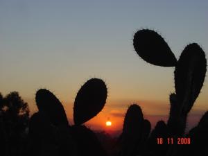 Coucher du soleil Couchers de soleil
