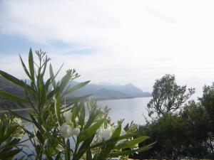 Ziama Mansouriah Panorama