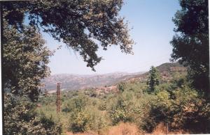 Mon village Paysages