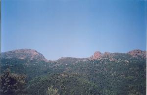 La ligne d'horizon Paysages