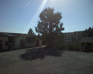 Lycée de Freha École