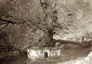 Béni Snous Cartes postales