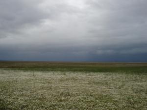 Lac el Kala Paysages