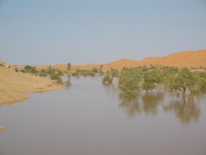 Beni-Abbes 06 Fleuves