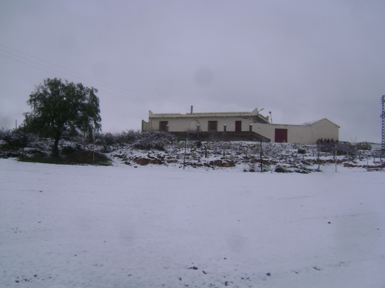 Zaouia cheikh Bouabidi Neiges