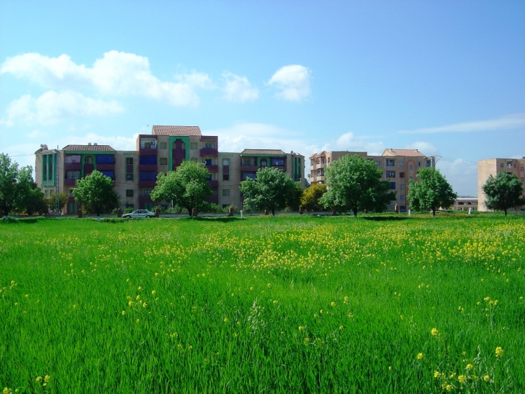 Sidi Bouabida Maisons & jardins