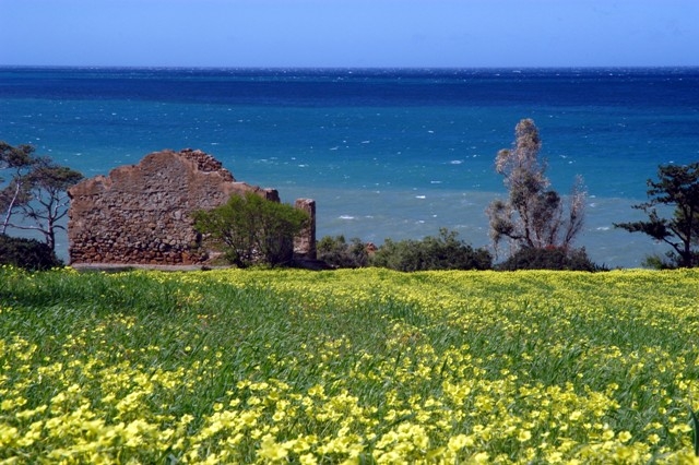 Doumia  le printemps Paysages
