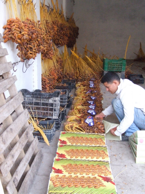 Emballez et envoyez Dattes