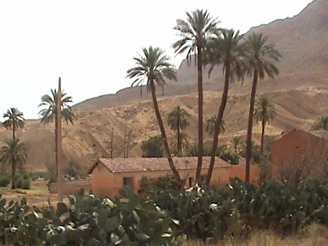 El oued Palmiers