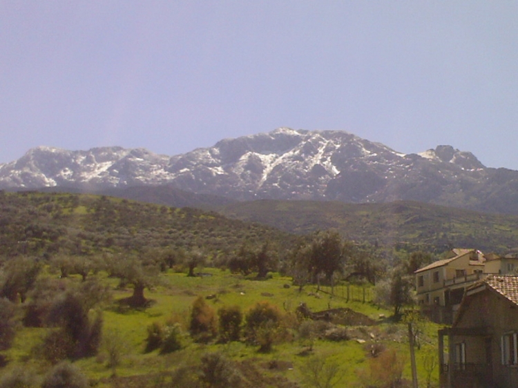 Tala Guilef Paysages