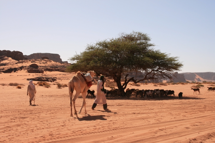 Berger dans la Tadrart Paysages
