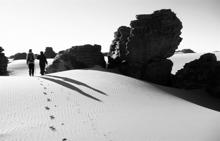 Marcher dans le désert Paysages
