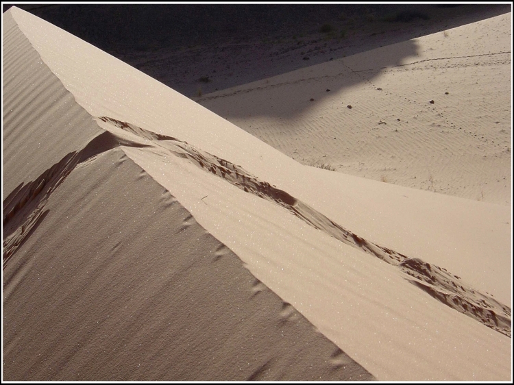 Solitude et dune Paysages