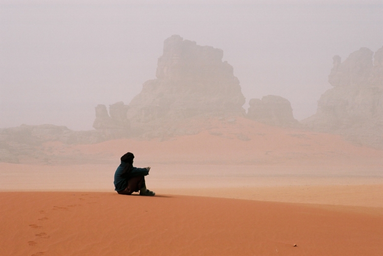 Contemplation Brumes