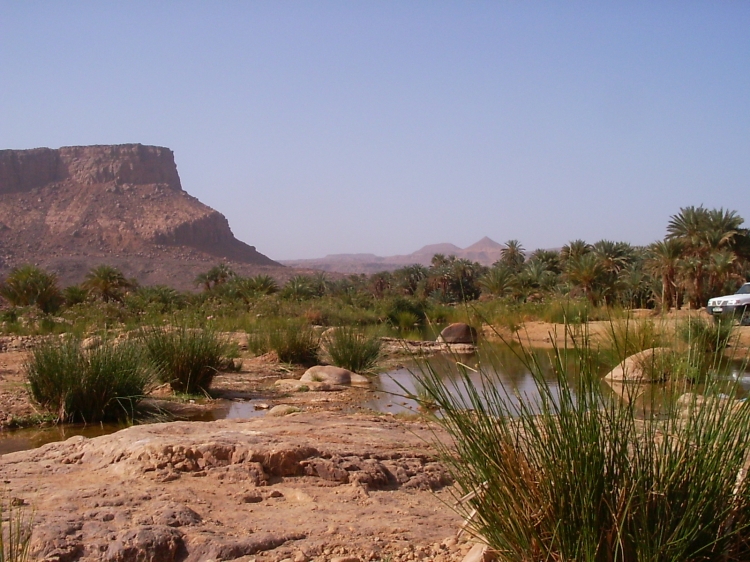 Tassili des ajjers Oasis