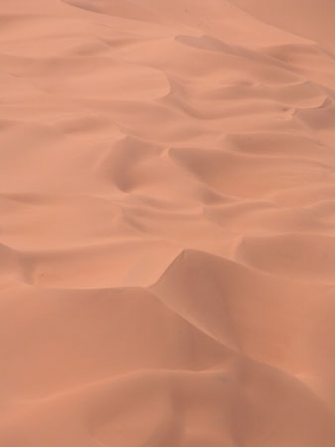 Vagues du sable Paysages