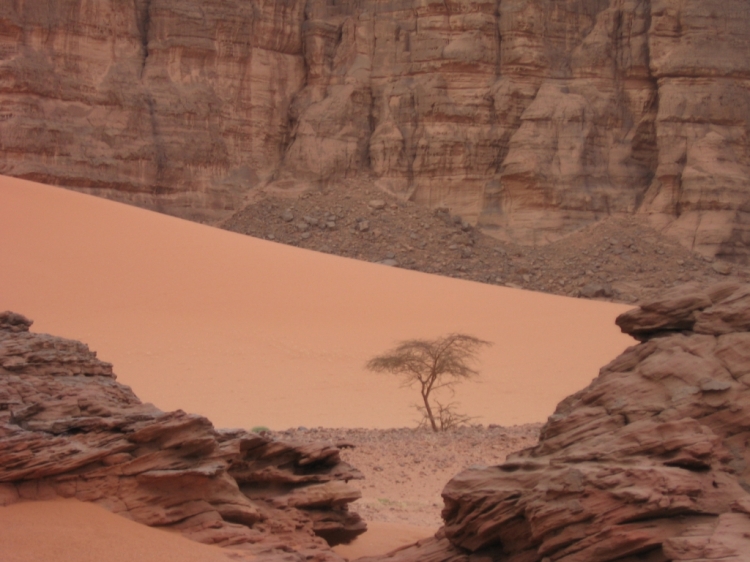 Désert sépia Paysages