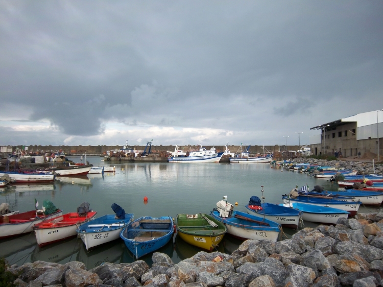 Port de pêche Barques