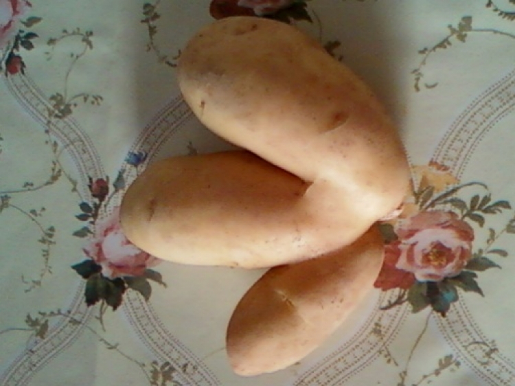 La nature de dieu Pommes de terre