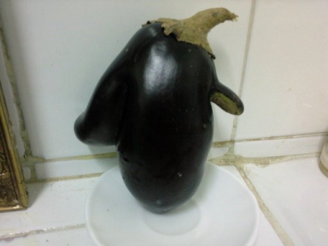 AUBERGINE Aubergines