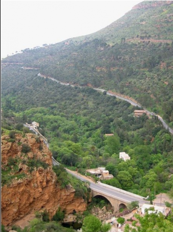 EL OURIT Tlemcen (gadiri) Parcs naturels