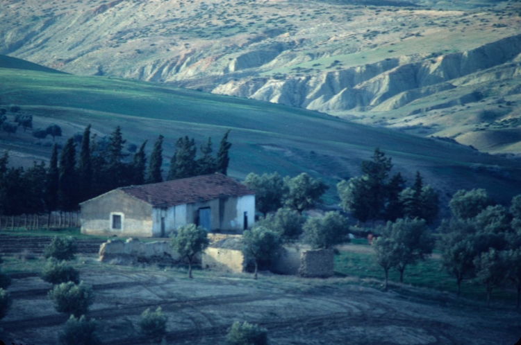 Fermette à tlemcen Paysages