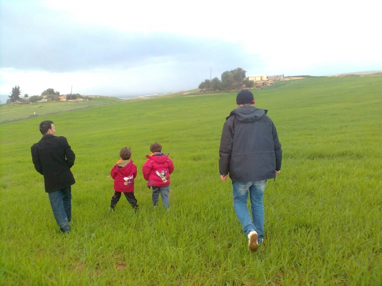 Dans un champ de blé Campagne