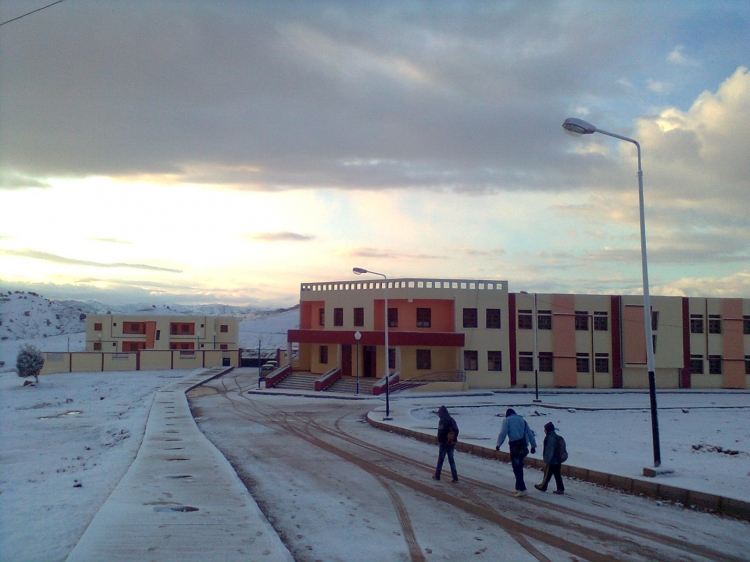 C E M   EL-MERDJA École