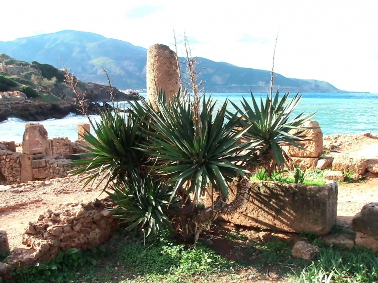 TIPAZA Sites historiques