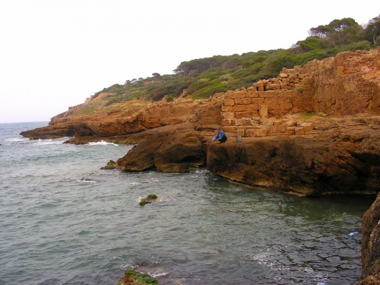 La côte à Tipaza Côtes