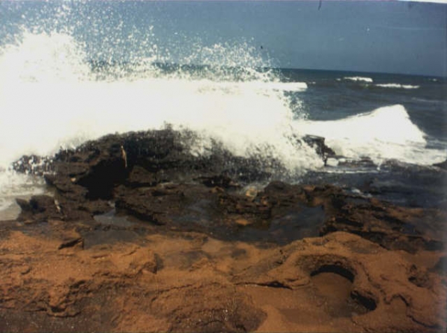 Le contraste!!!! Paysages