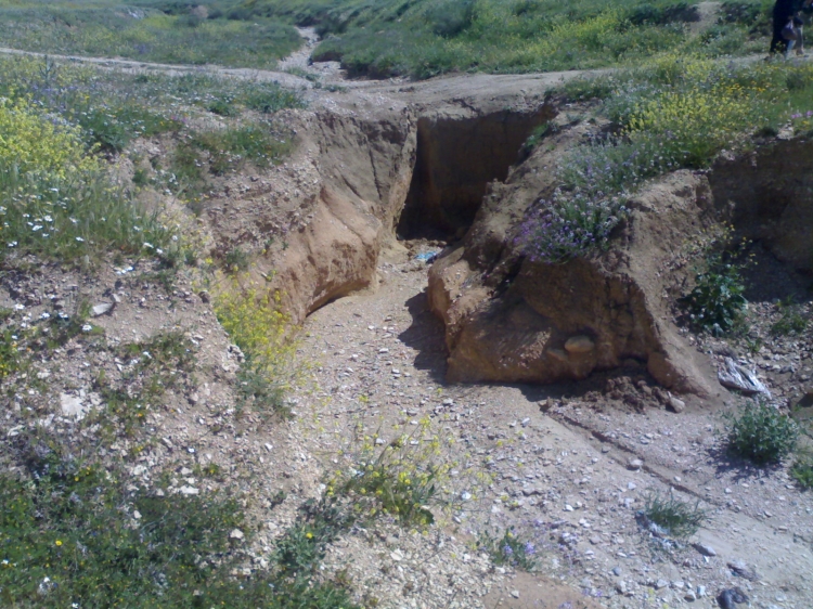 C'est Tebessa Paysages