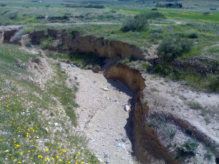 C'est Tebessa Paysages